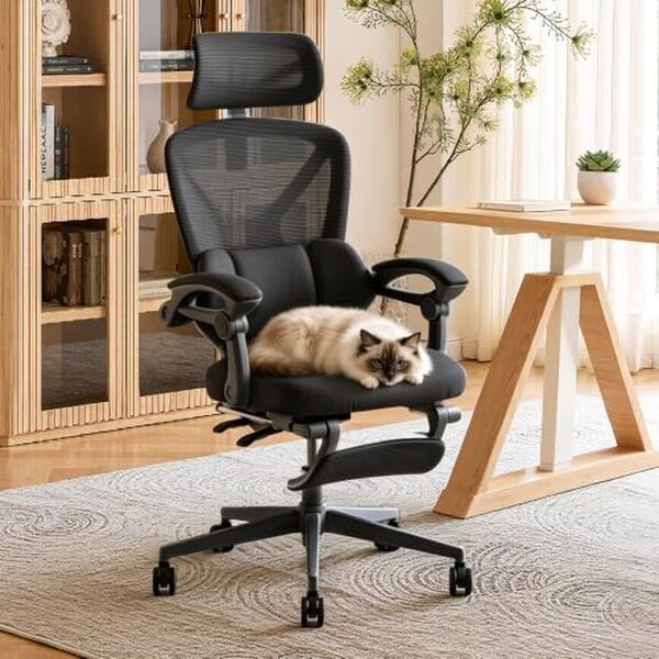 Découvrez notre test détaillé de la chaise de bureau Flexispot OC4 avec soutien lombaire et inclinaison ajustable. Confort, qualité et performance analysés pour vous.
