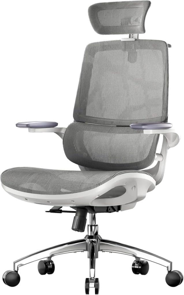 Test : chaise de bureau ergonomique SIHOO M59AS avec accoudoirs 3D et double dossier